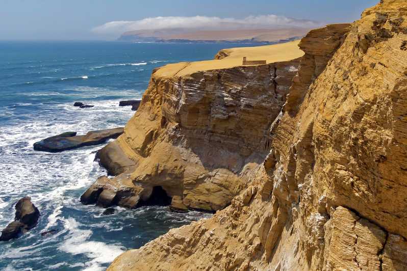From Paracas Ballestas Islands And Paracas National Reserve Getyourguide