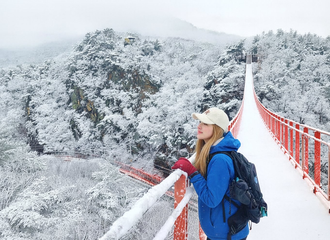 Seoul: DMZ, den 3. tunnel og valgfri hængebro-tur