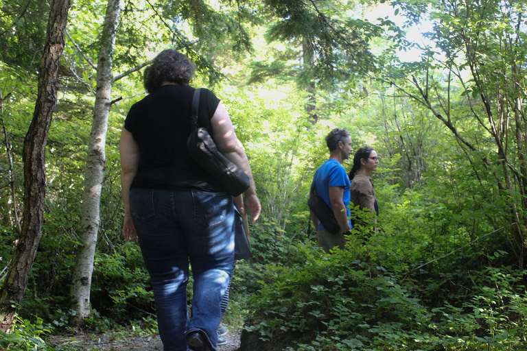 Juneau: Mindfulness in the WildernessMindfulness in the Wilderness