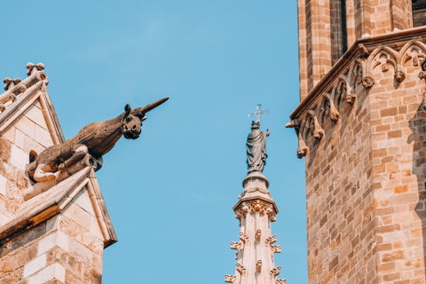 Barcelona: Introduction to the Gothic Quarter Walking Tour Private Tour (Max 20 Adults)