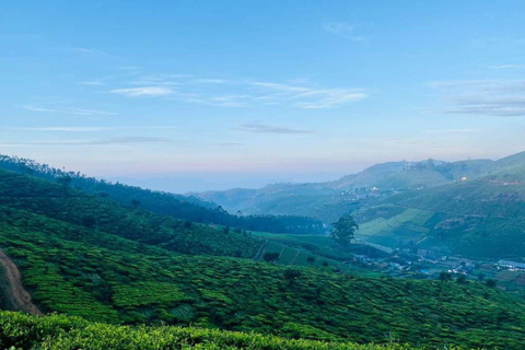 Kandy: Nuwara Eliya and Ambewela Train Station Tour