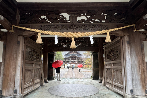 Kanazawa: Privat halvdagsutflykt - Trädgård, slott, Geisha