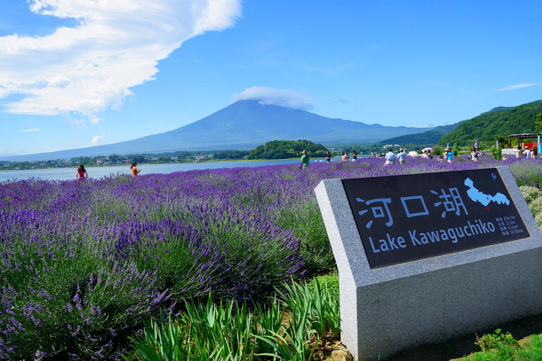 Mt. Fuji,Kawaguchi Lake, Ropeway, Oshino Hakkai, Matcha Trip Tokyo station pick-up 8:00am