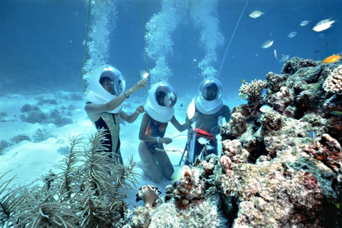 Hoi An: Excursão subaquática com snorkel e a pé pela Ilha ChamExcursão a pé pela ilha de Cham sob a água