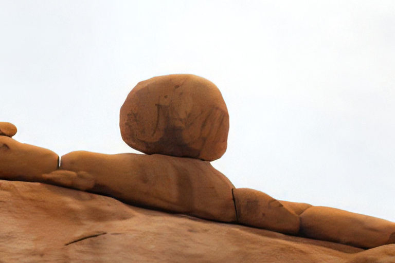 Au départ de Swakopmund : visite guidée d&#039;une jounée à Spitzkoppe