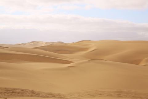 Sandwich Harbor: tour in 4x4 dove il mare incontra le duneSandwich Harbor: 4x4 Tour Where the See and Dunes Meet