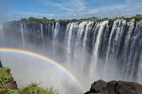 Tour guidato delle Cascate Vittoria e safari nel Parco Chobe