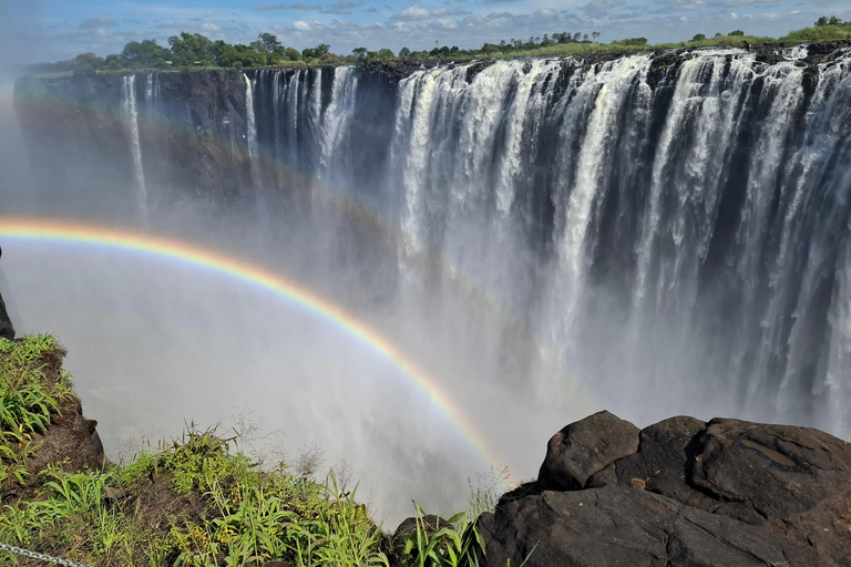 Tour guidato delle Cascate Vittoria e safari nel Parco Chobe