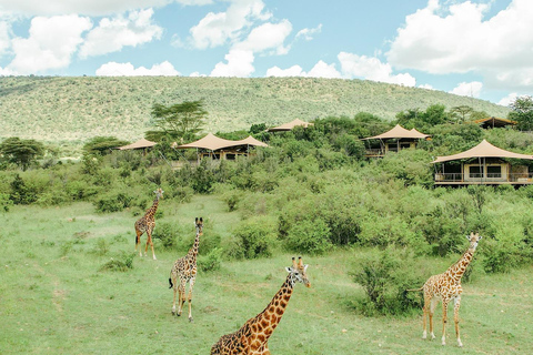 7-dagars safari i Kenya och Tanzania