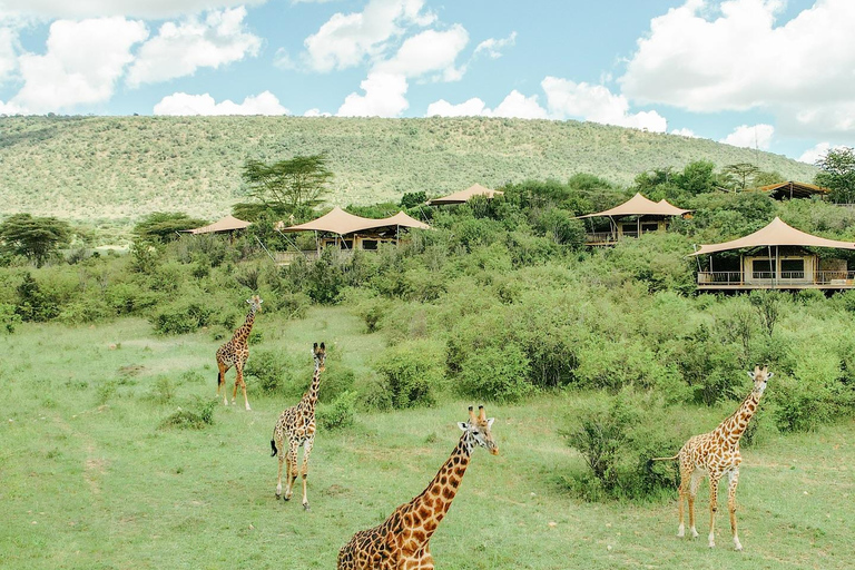 7-dagars safari i Kenya och Tanzania