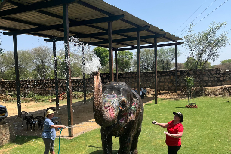 Elefun Best Elephant Sanctuary (Sanctuaire d'éléphants)Sanctuaire d'éléphants de Jaipur