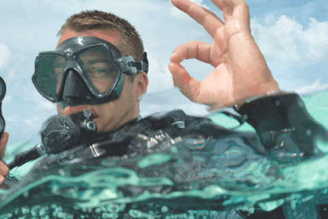 Aqaba: Scuba Diving Certifications Courses ( PADI ) Aqaba: Scuba Diving Certifications Courses ( PADI )