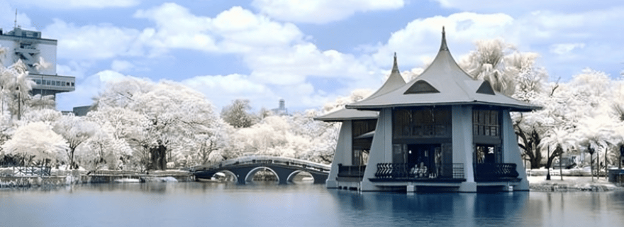 La ville de Taichung : Visite touristique à pied avec un guide local