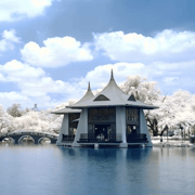 Taichung City: Sightseeing Walking Tour with a Local Guide