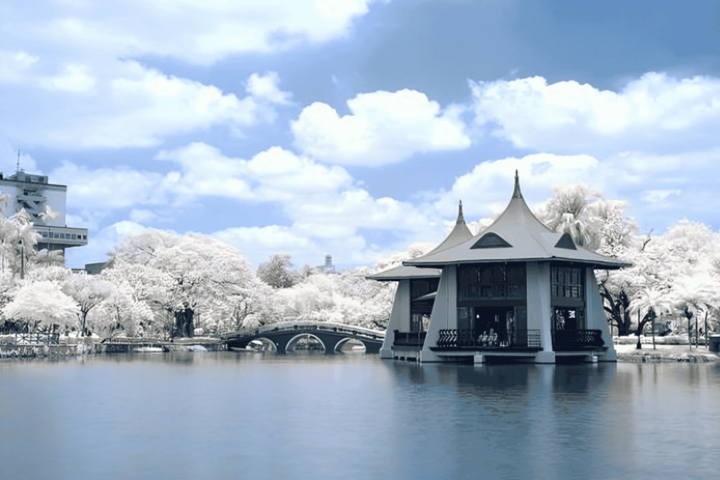 Taichung City: Sightseeing Walking Tour with a Local Guide - Taichung City: Sightseeing Walking Tour with a Local Guide