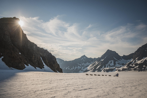 Seward, Alaska: Helicopter Glacier Dog Sledding Adventure