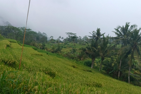 Sidemen rice terraces trek and local village walk sidemen rice terrace, village walk and local market