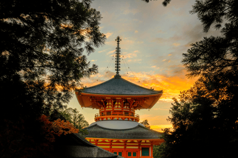 Koyasan sagrado: Meditação no Santuário para Purificação