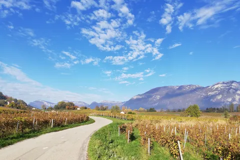 Wine Tour with private driver