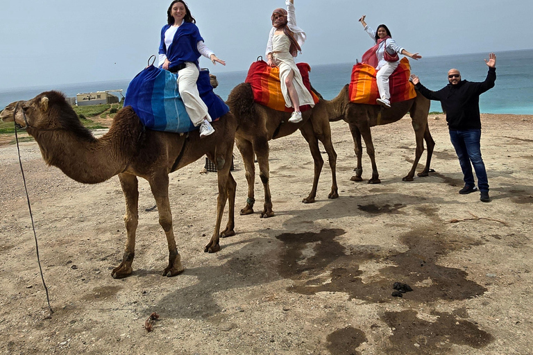 Tour particular em Tânger: Exploração e aventura em um passeio de camelo