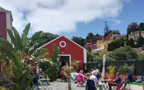  - Canarie.it