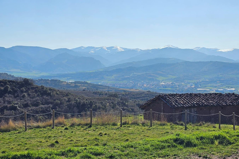 Secret Rioja: Street Art, Panoramic Views & Tasting – Private Tour