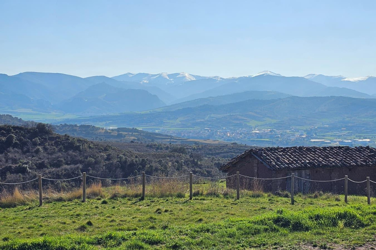 Secret Rioja: Street Art, Panoramic Views & Tasting – Private Tour