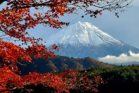 富士山・箱根ツアー 往復新幹線グリーンナンバープレート