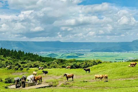 Mt. Aso & Takachiho Gorge Tour with Optional Boat Ride 7:50 AM One-day tour (including Takachiho cruise)