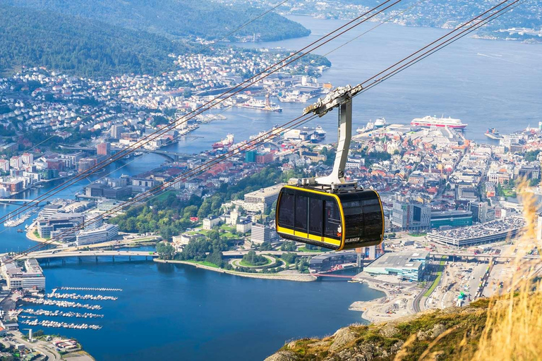 Stavanger: Guidad tur till berget Ulriken och Akvariet i Bergen