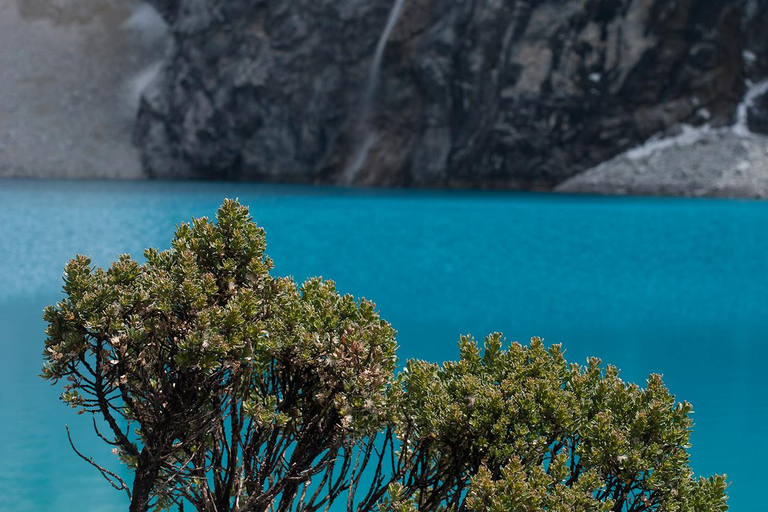 Depuis Huaraz : Excursion à la Lagune 69