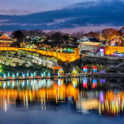 Busan: Autumn Jinju Namgang Lantern Festival & Pink Muhly Busan: Autumn Jinju Namgang Lantern Festival & Pink Muhly