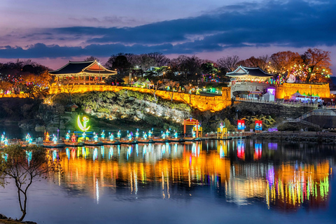 Busan: Autumn Jinju Namgang Lantern Festival & Pink Muhly Jinju Namgang Group Tour, Meet at Seomyeon Station