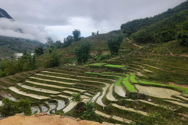 Sa Pa: Cat Cat Village Tour to Visit the Hmong People