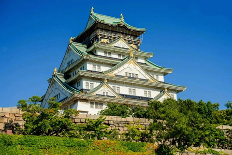 Osaka Through Time: Castle, Shinsekai, Harukas & Dotonbori Small Group Walking Tour with Public Transportation