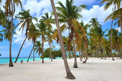 Saona Island Premium Escape: 4 Paradise Beaches and Natural Pool
