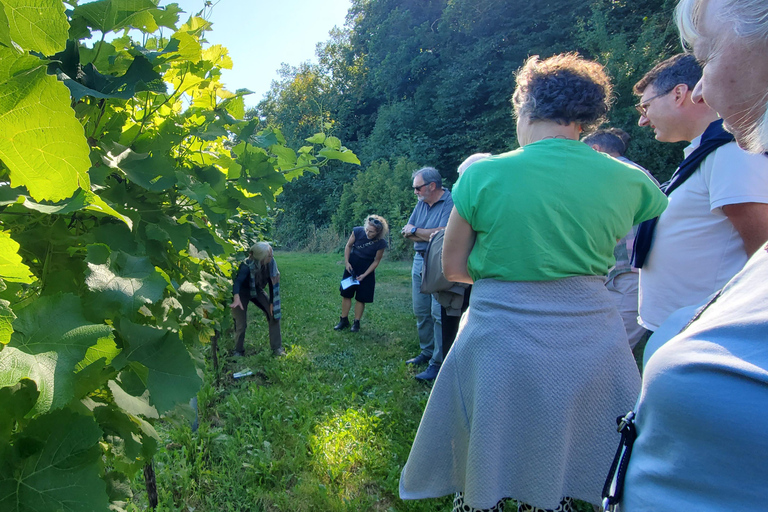 Copenhagen: Vejrhøj Arch Hike with Wine Tasting &amp; Lunch