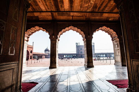 Delhi: Old Delhi, Akshardham Temple, and Light Show Tour English Language Guide