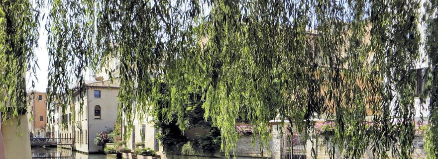 Trévise : visite à pied en petit groupe, sites emblématiques et trésors cachés