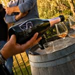 San Floriano del Collio: Winery Tour With 4 Wine Tastings