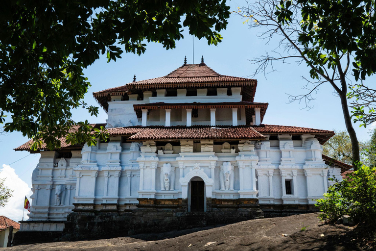 Guided City Tour with Ambuluwawa and Pinnawala