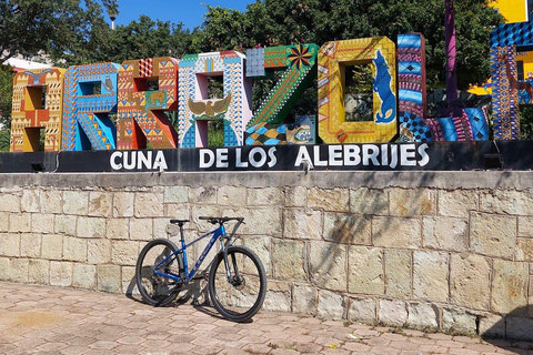Monte Alban. Bike Tour. Archaeology, Alebrijes, and History.