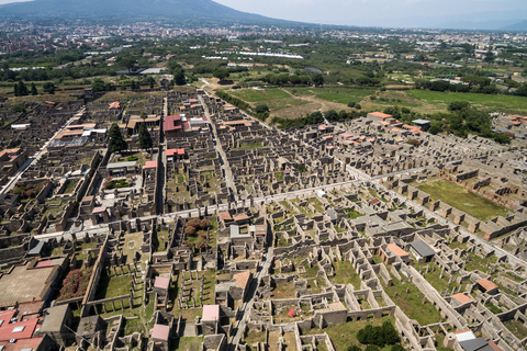 Da Roma: Esperienza di Pompei e del cratere del Vesuvio con pranzo