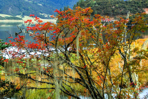 Kunming: 8-daagse rondreis door de provincie Yunnan met hotels en maaltijden