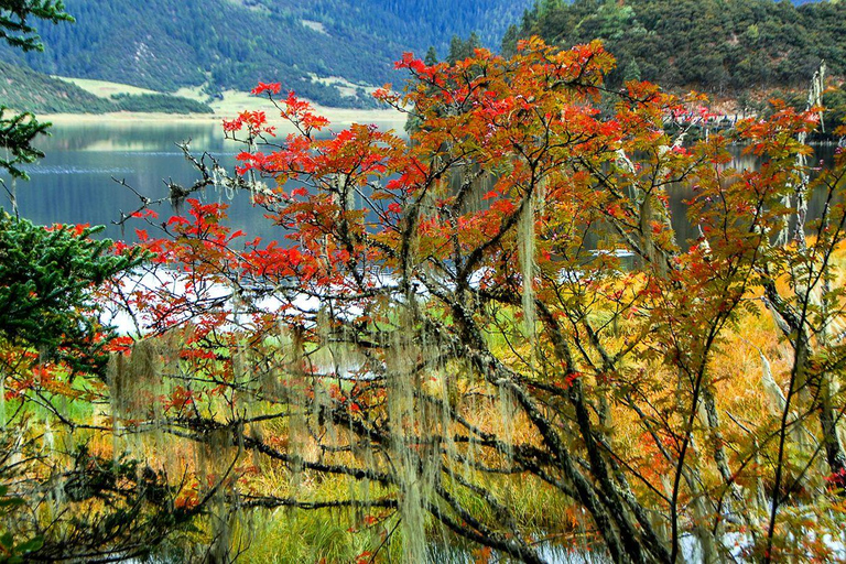 Kunming: 8-dagars rundtur i Yunnan-provinsen med hotell och måltider