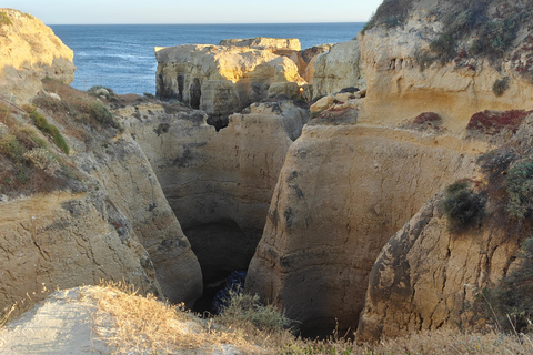 Albufeira: Albufeira Marina & west coast Tour 1.5h