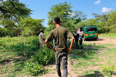 恩德培/坎帕拉：默奇森瀑布和齐瓦犀牛两日游