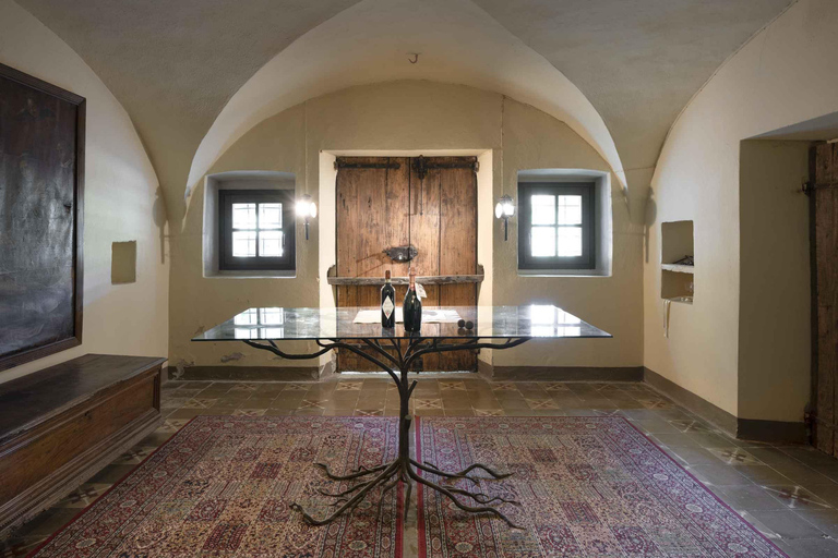 Langhe: Visit to the Vineyard and Historic Cellars with Tasting Langhe: Visit to the Vineyard and Historic Cellars with Wine Tasting
