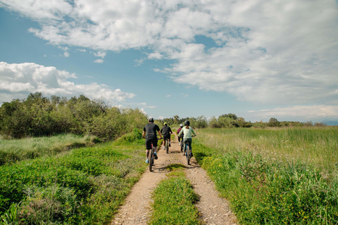 科孚岛：电动自行车之旅搭配橄榄油品鉴科孚岛：电动自行车游与橄榄油品鉴