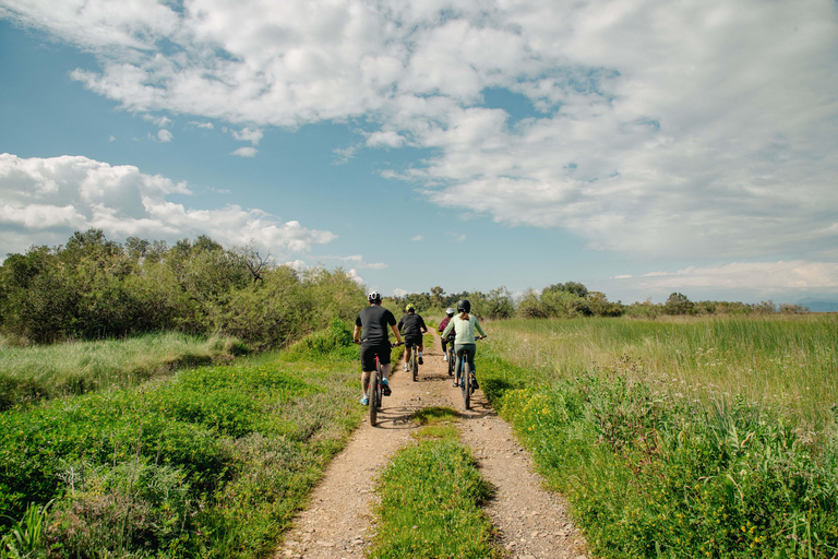 科孚岛：电动自行车之旅搭配橄榄油品鉴科孚岛：电动自行车游与橄榄油品鉴